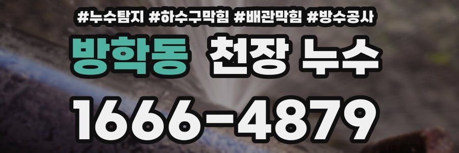 방학동 천장 누수