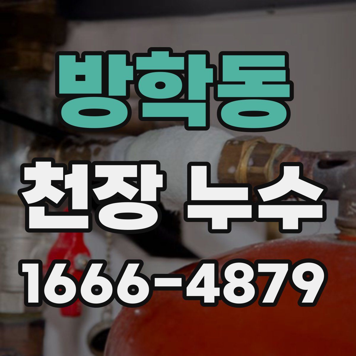 방학동 천장 누수