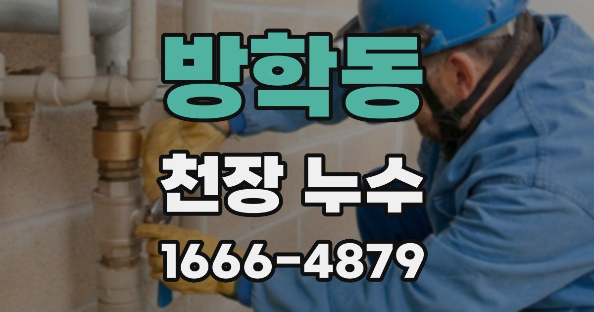 방학동 천장 누수