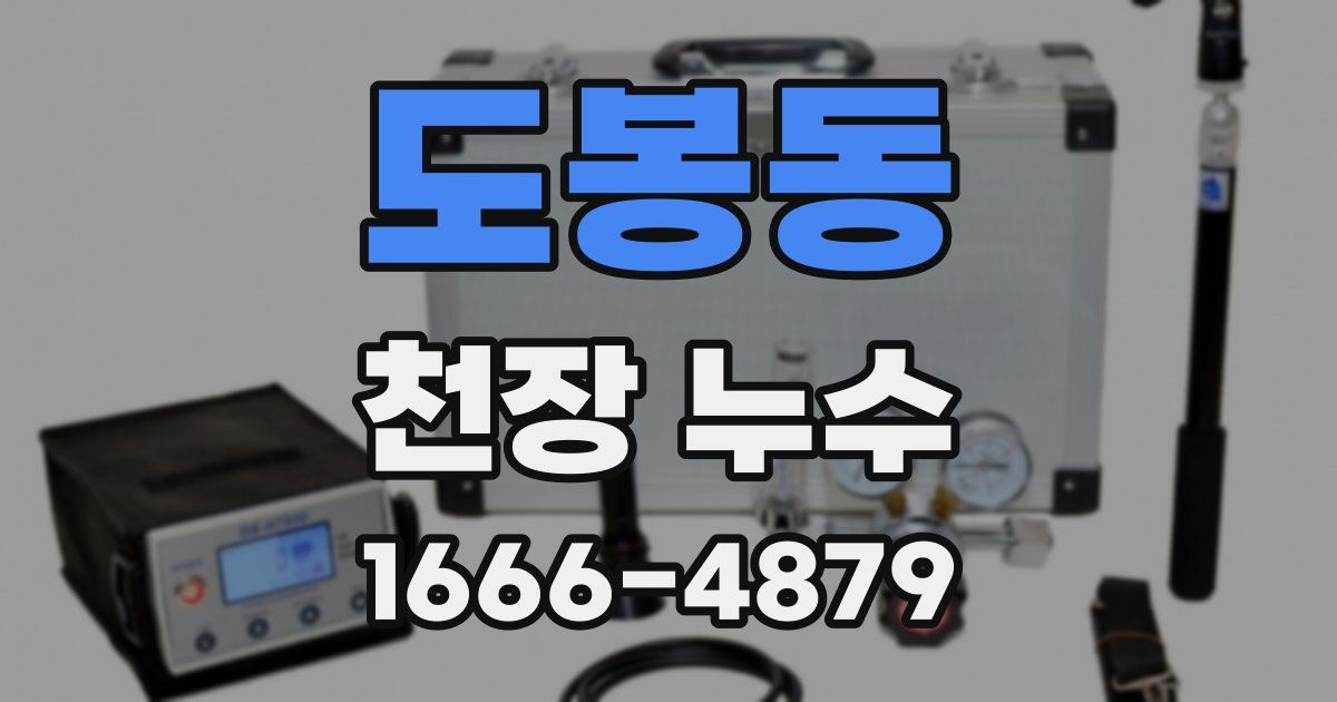 도봉동 천장 누수