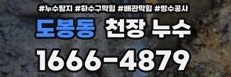 도봉동 천장 누수