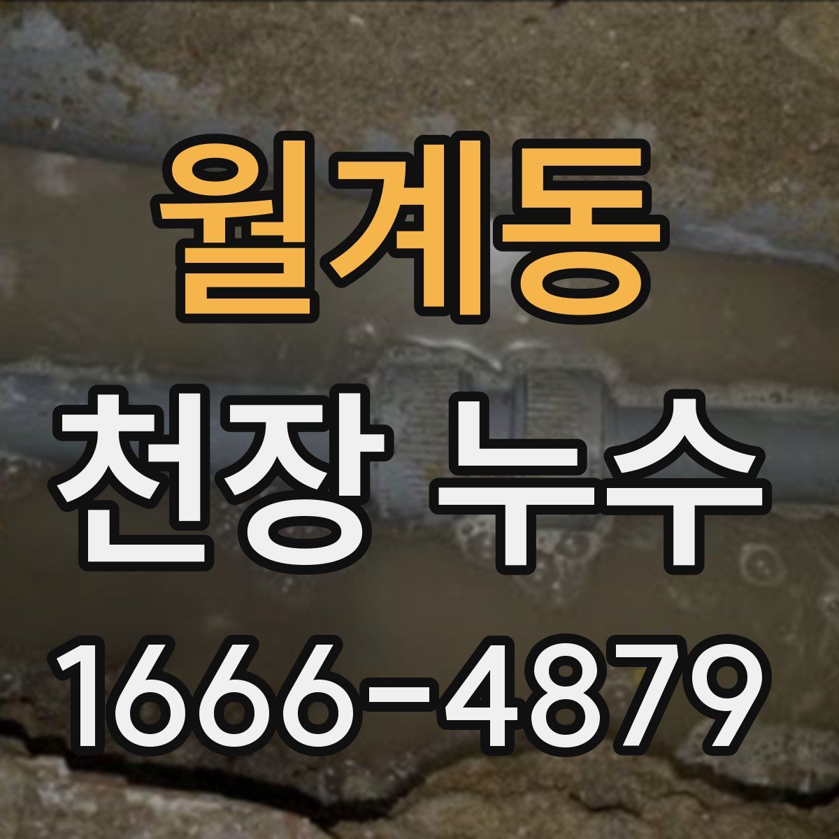 월계동 천장 누수