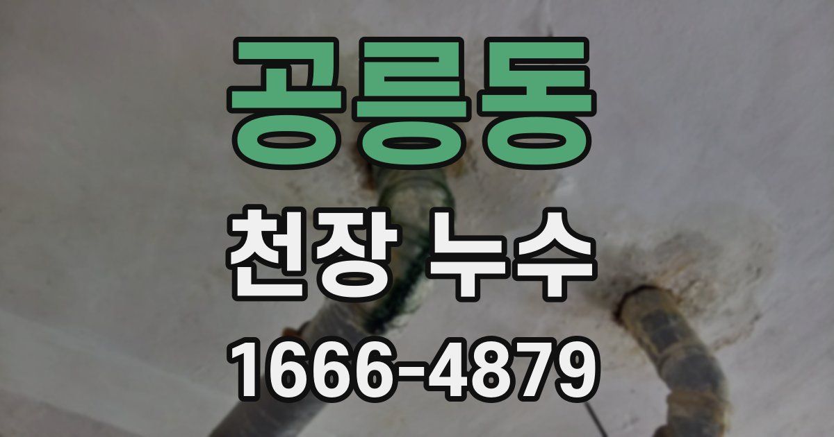 공릉동 천장 누수