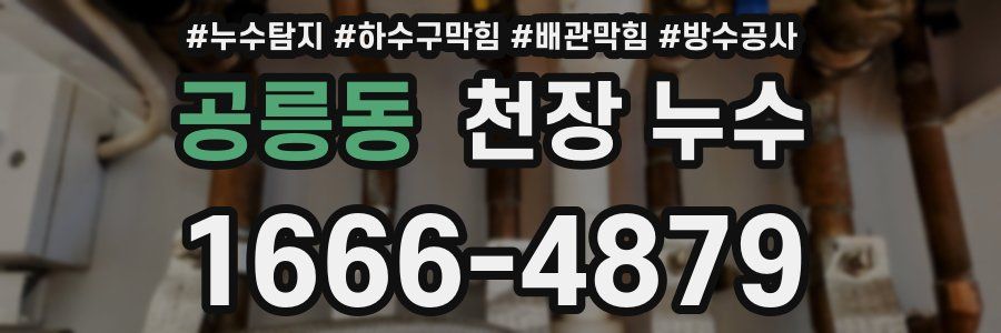 공릉동 천장 누수