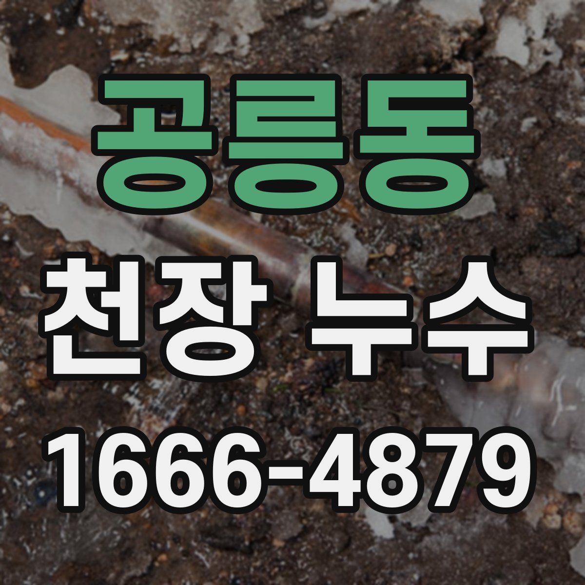 공릉동 천장 누수