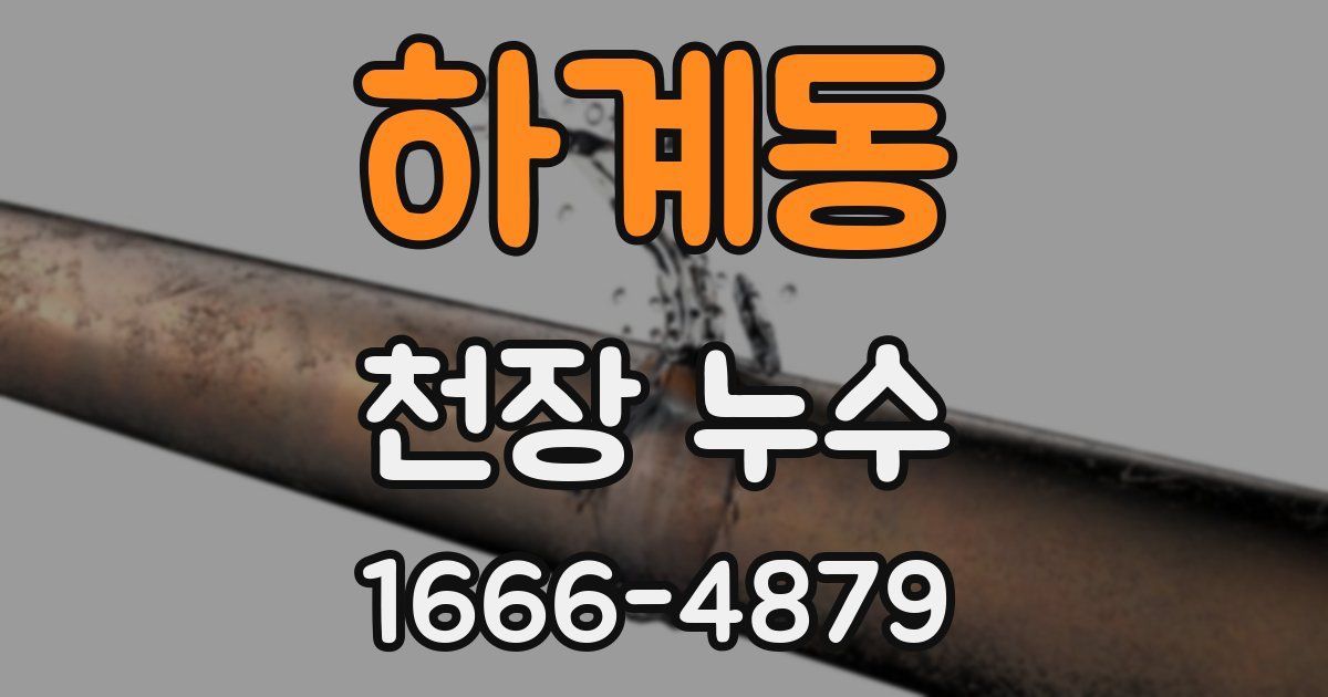 하계동 천장 누수