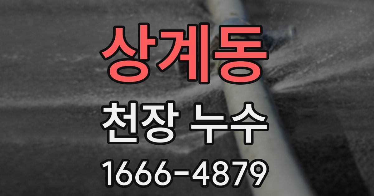상계동 천장 누수