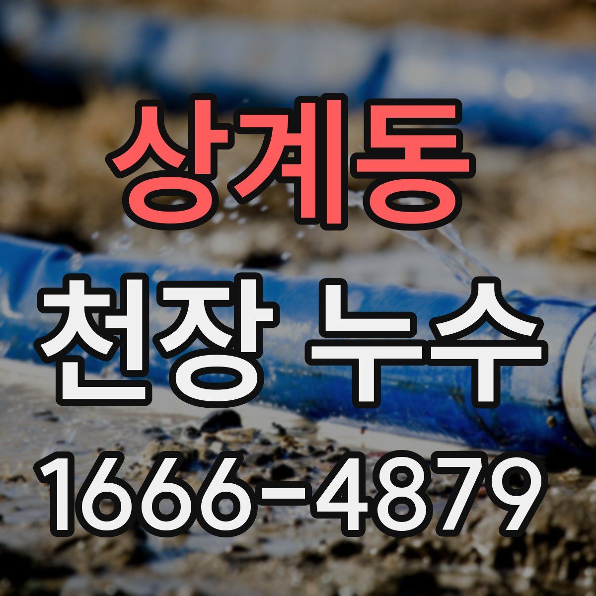상계동 천장 누수