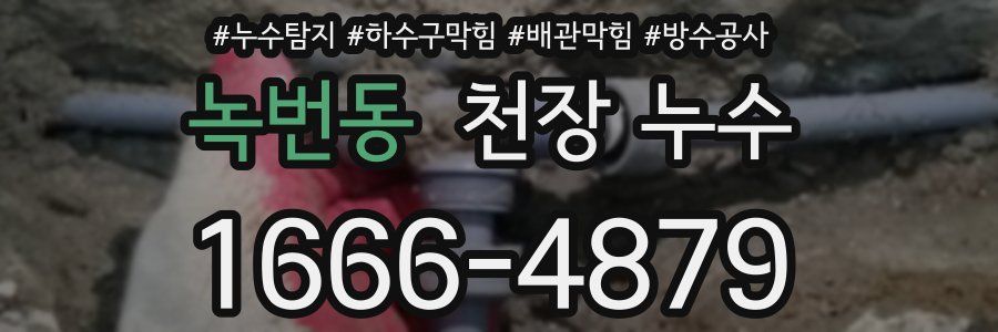 녹번동 천장 누수