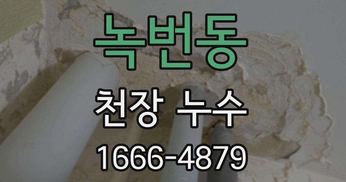 녹번동 천장 누수