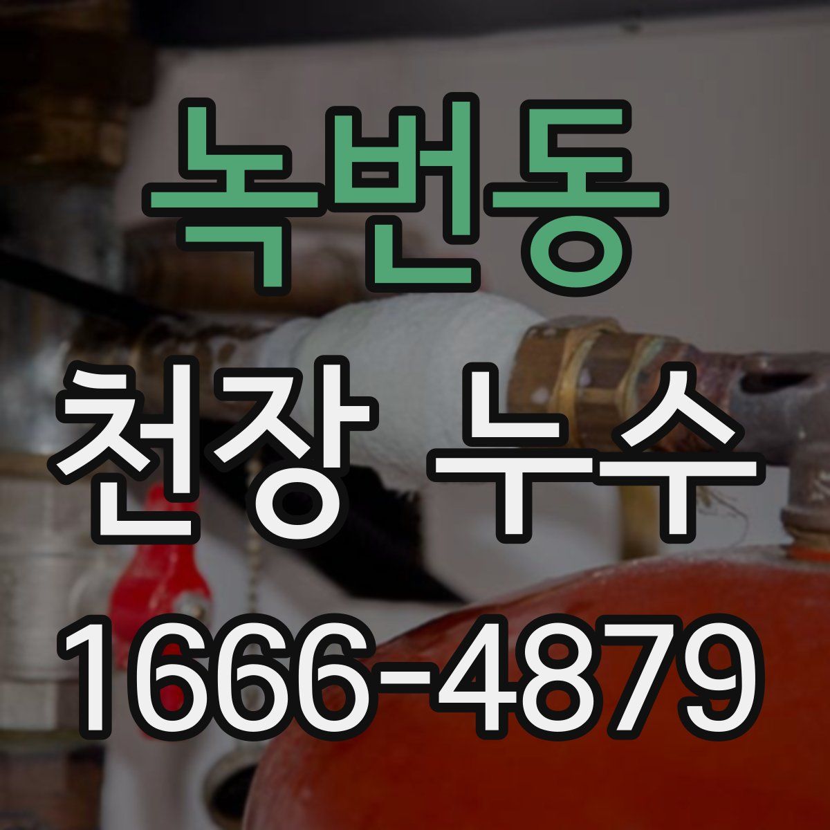 녹번동 천장 누수