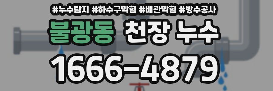 불광동 천장 누수