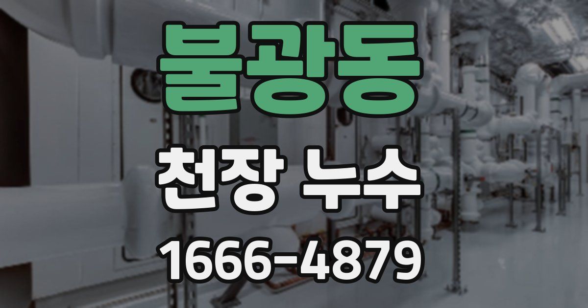 불광동 천장 누수