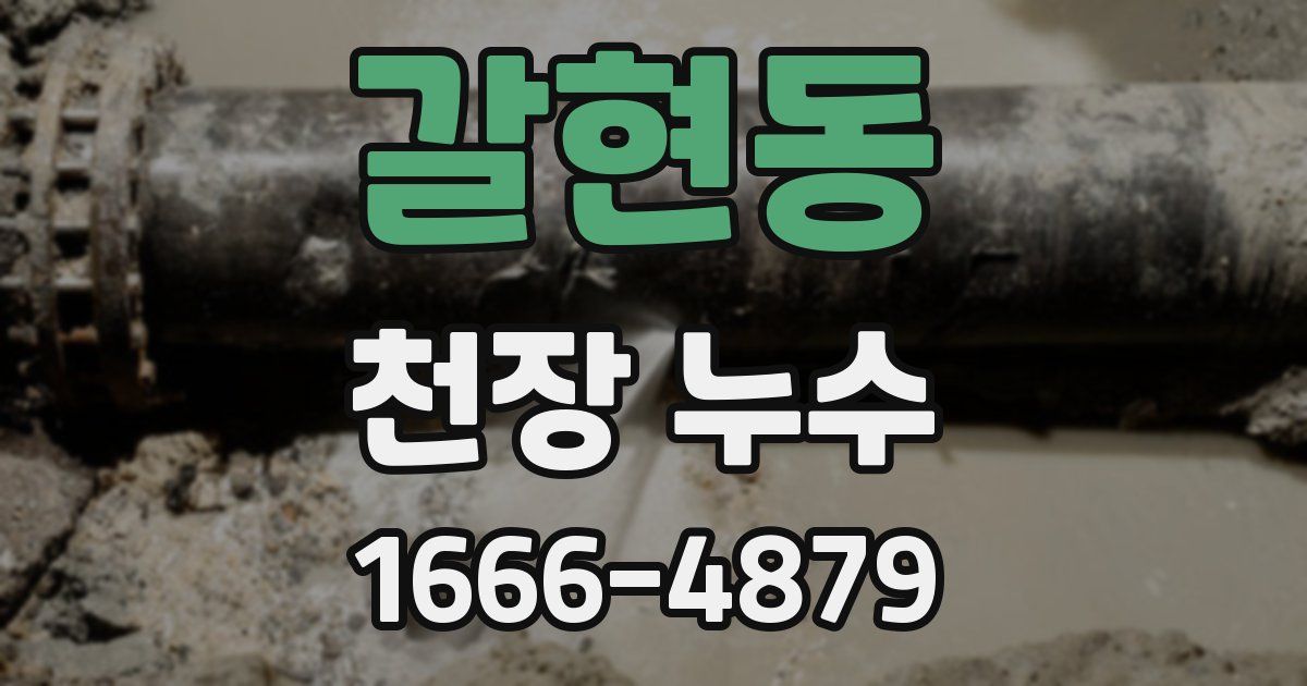 갈현동 천장 누수
