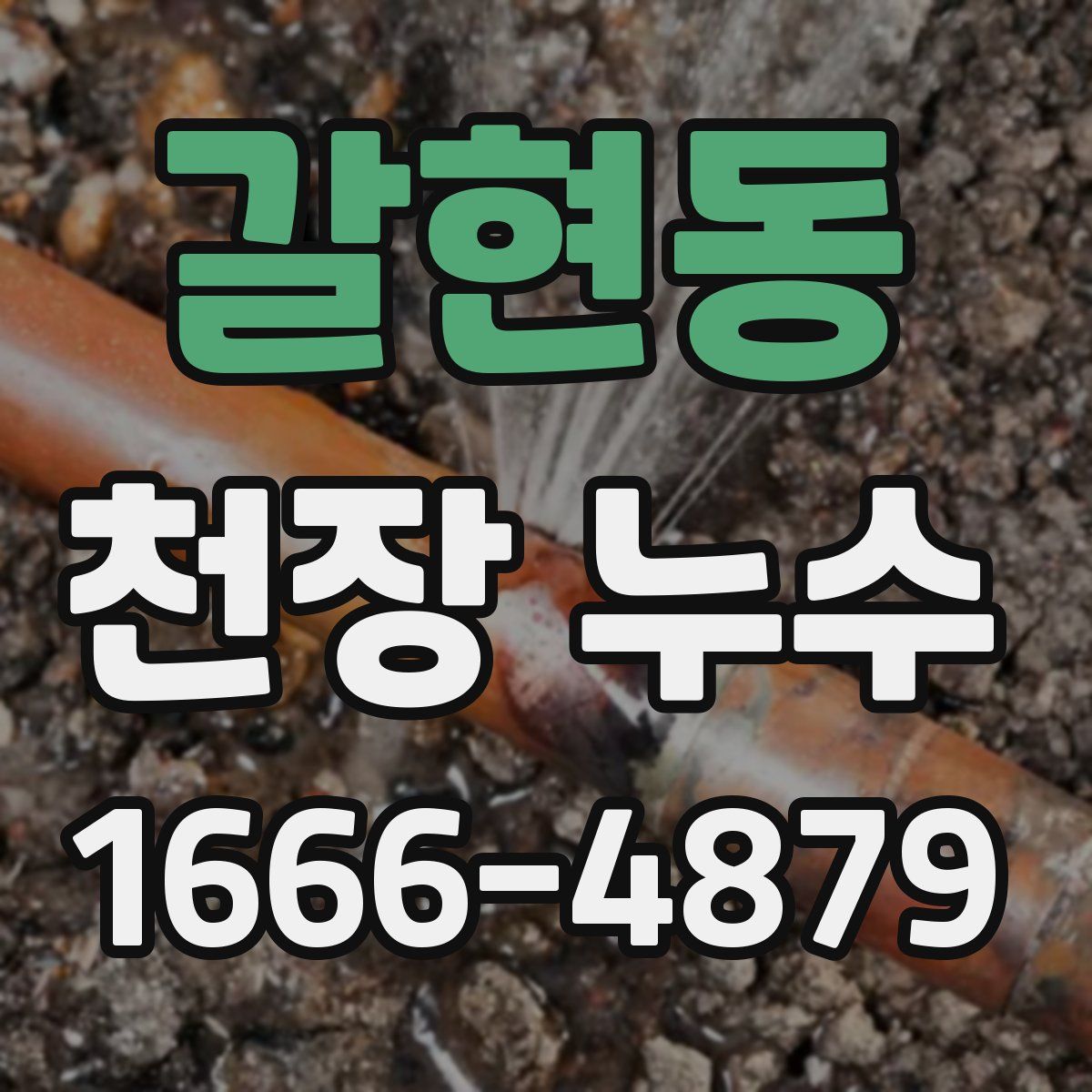 갈현동 천장 누수