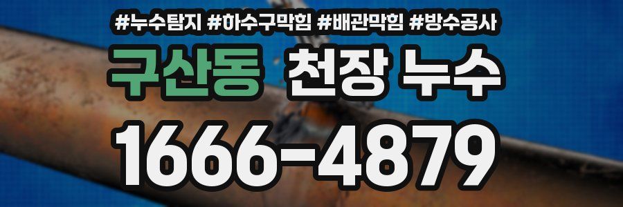구산동 천장 누수