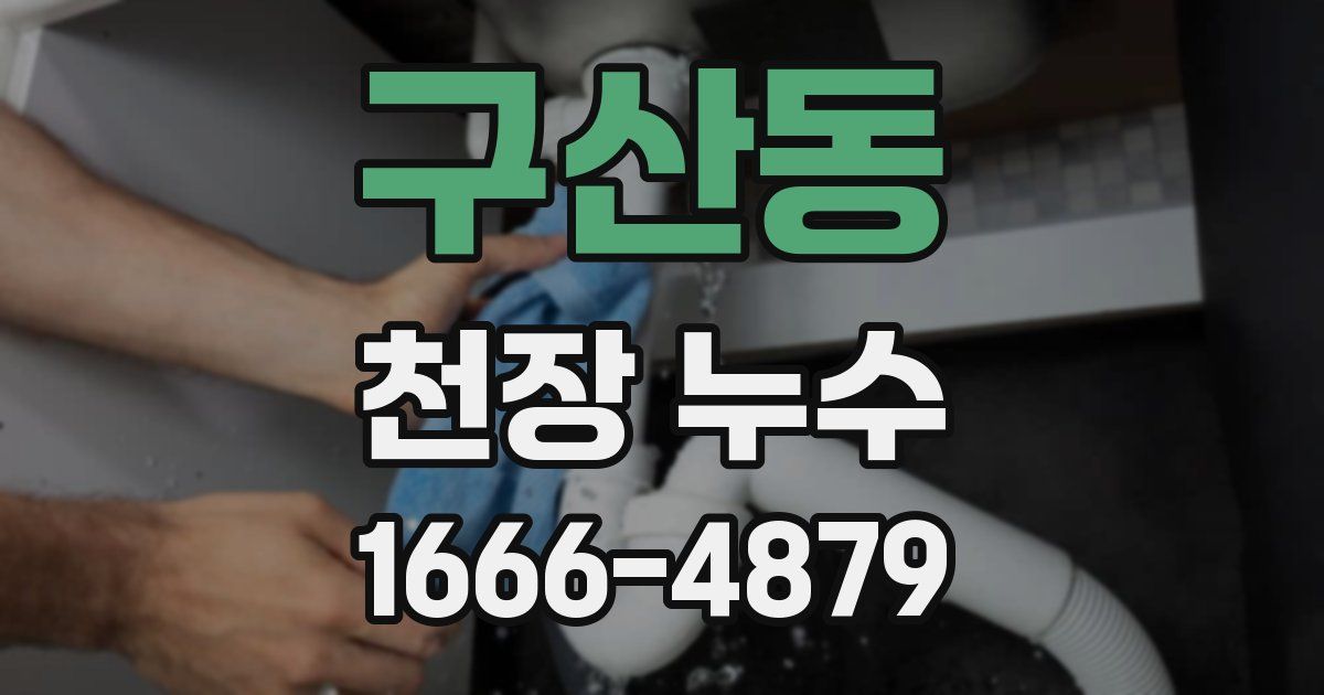구산동 천장 누수