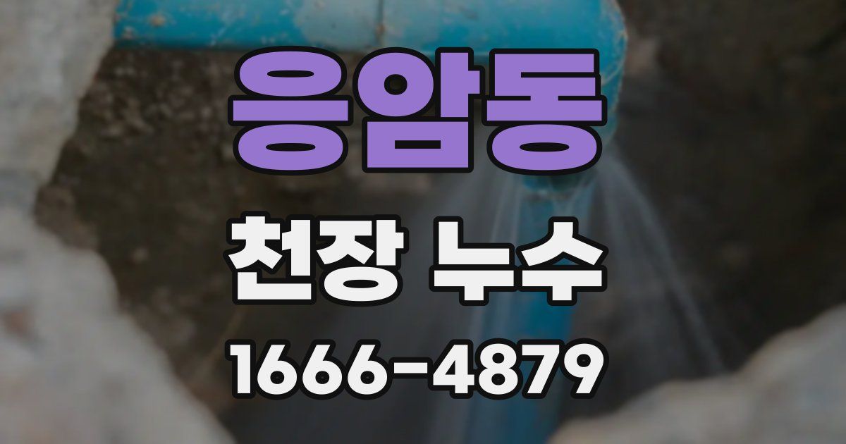 응암동 천장 누수
