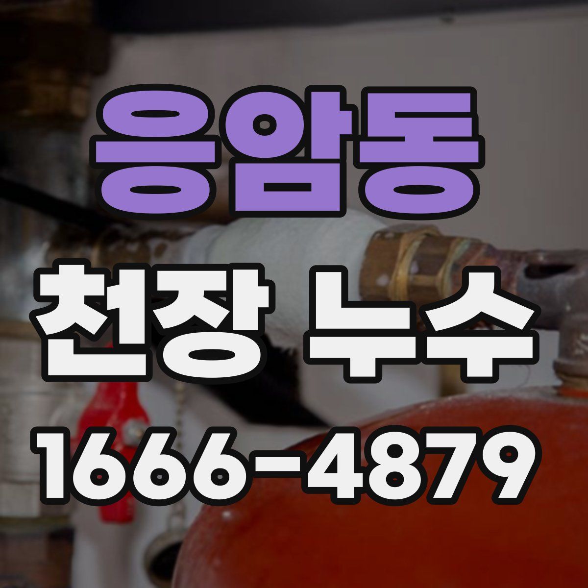 응암동 천장 누수