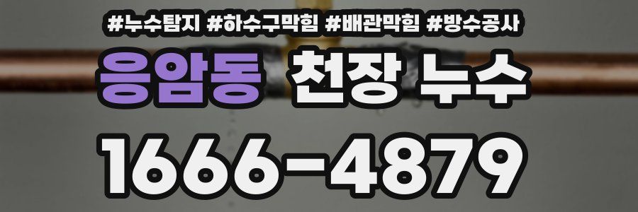 응암동 천장 누수