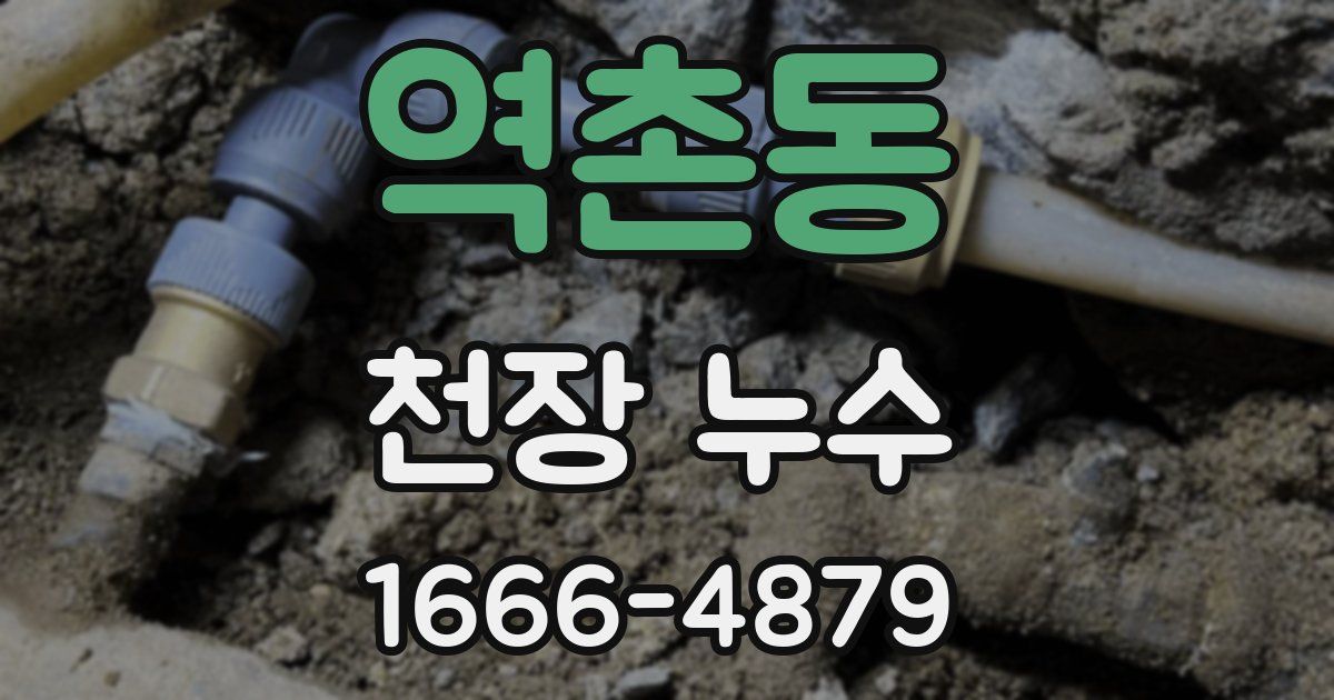 역촌동 천장 누수