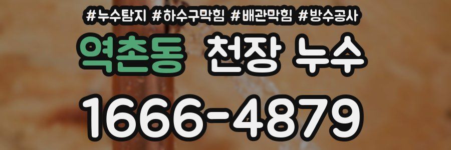 역촌동 천장 누수