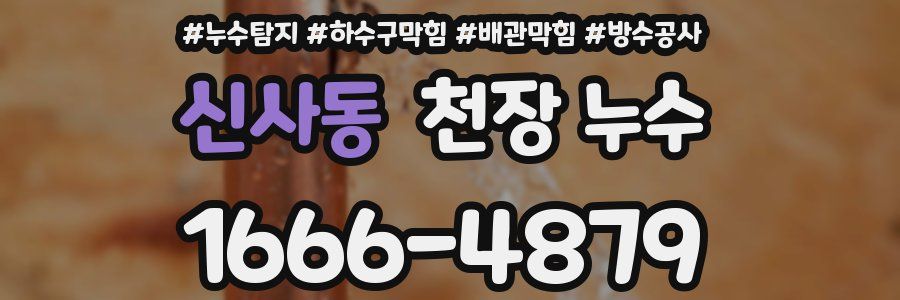 신사동 천장 누수