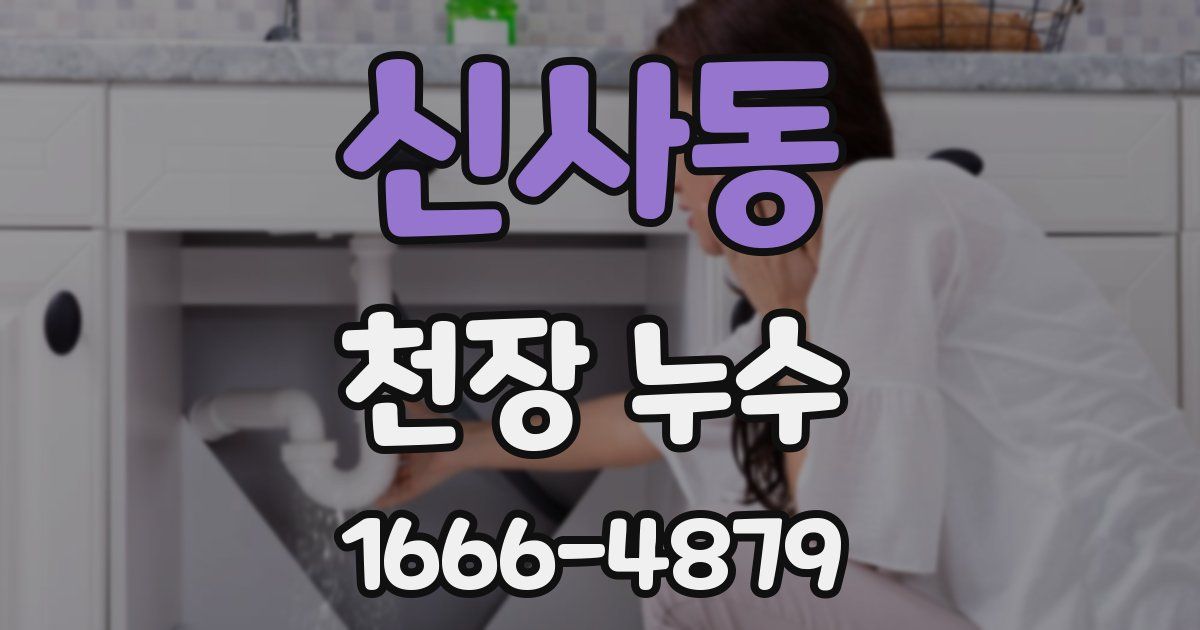신사동 천장 누수