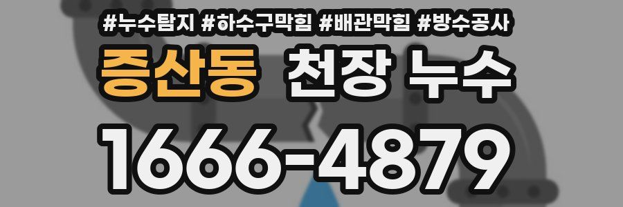 증산동 천장 누수
