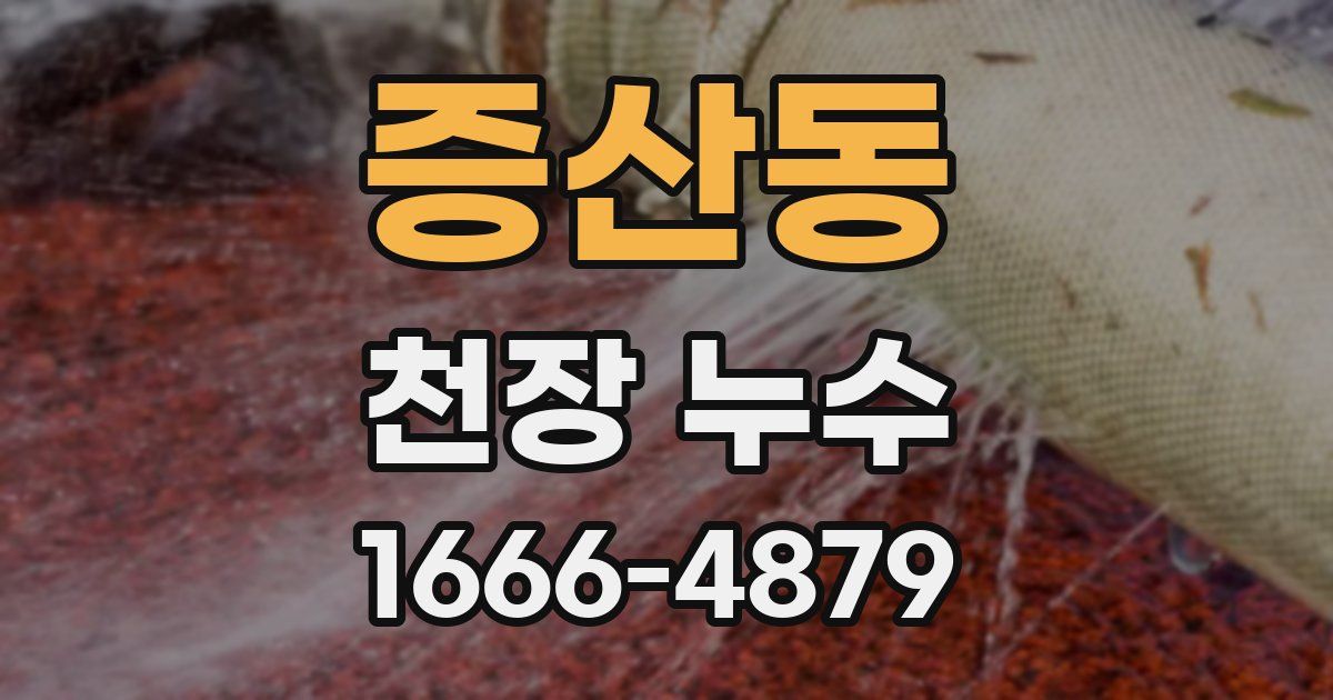 증산동 천장 누수