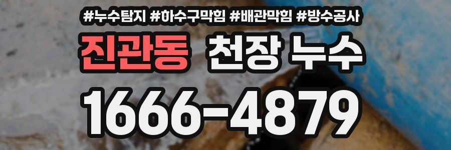 진관동 천장 누수
