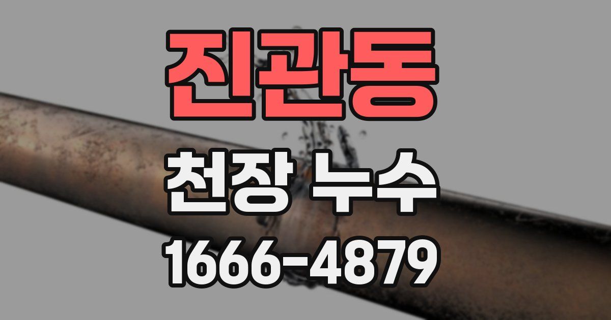 진관동 천장 누수