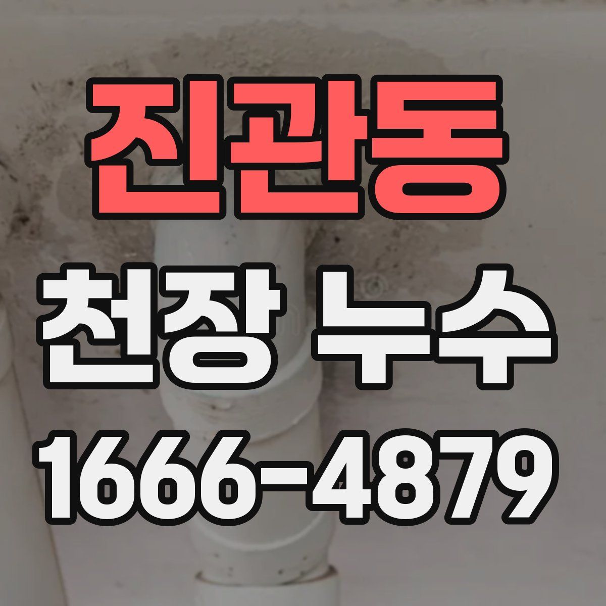 진관동 천장 누수