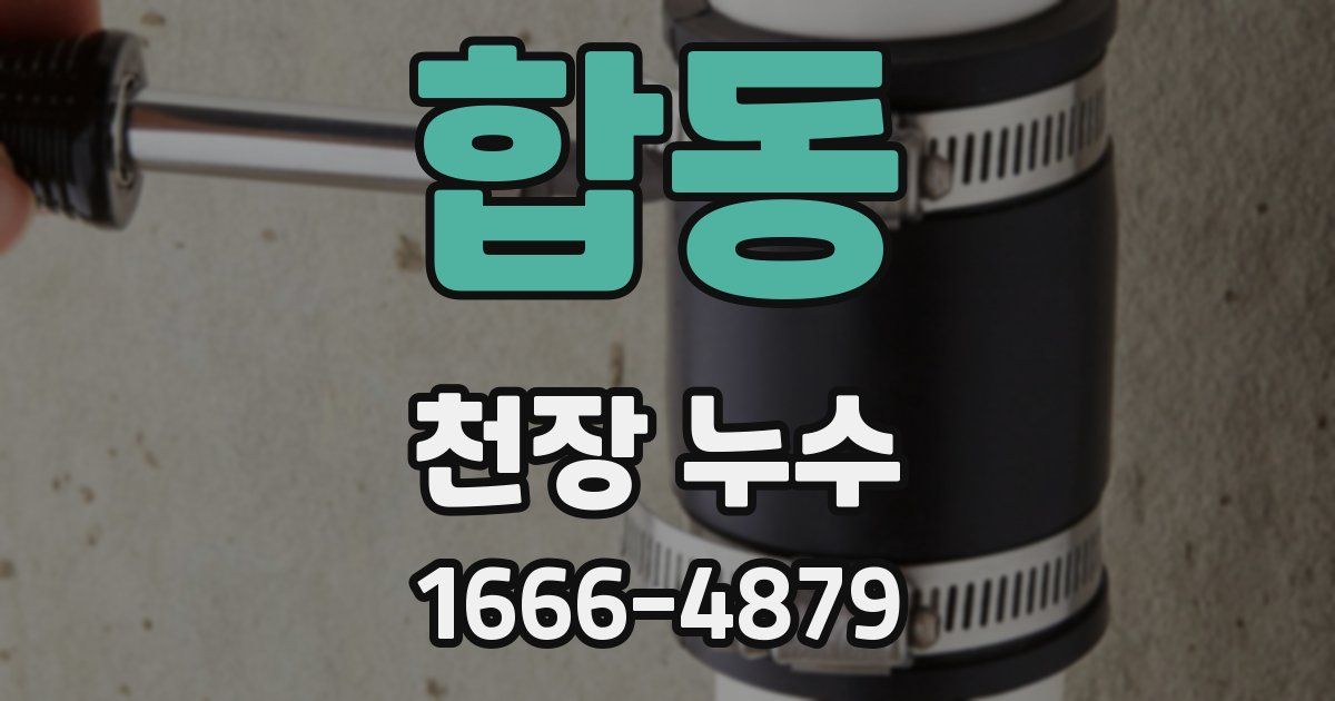 합동 천장 누수