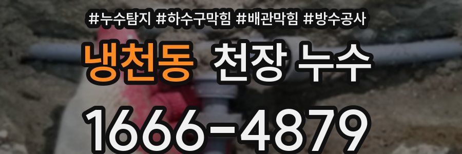 냉천동 천장 누수