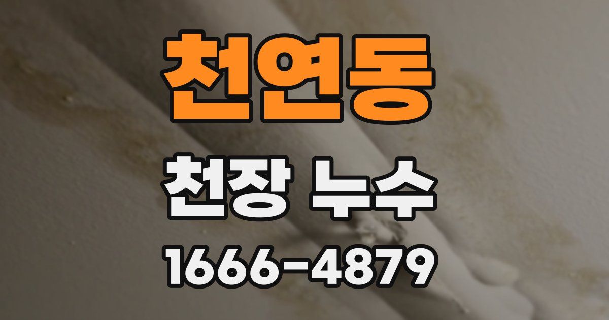 천연동 천장 누수
