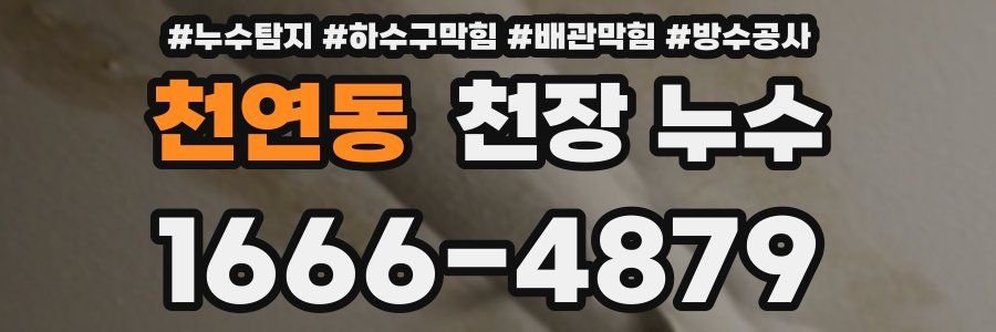 천연동 천장 누수