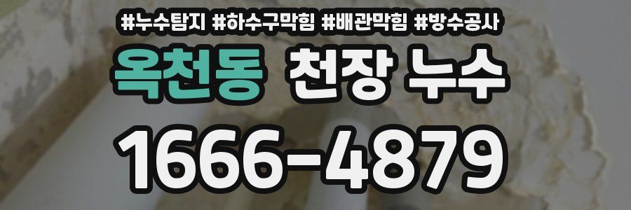 옥천동 천장 누수