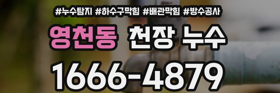 영천동 천장 누수