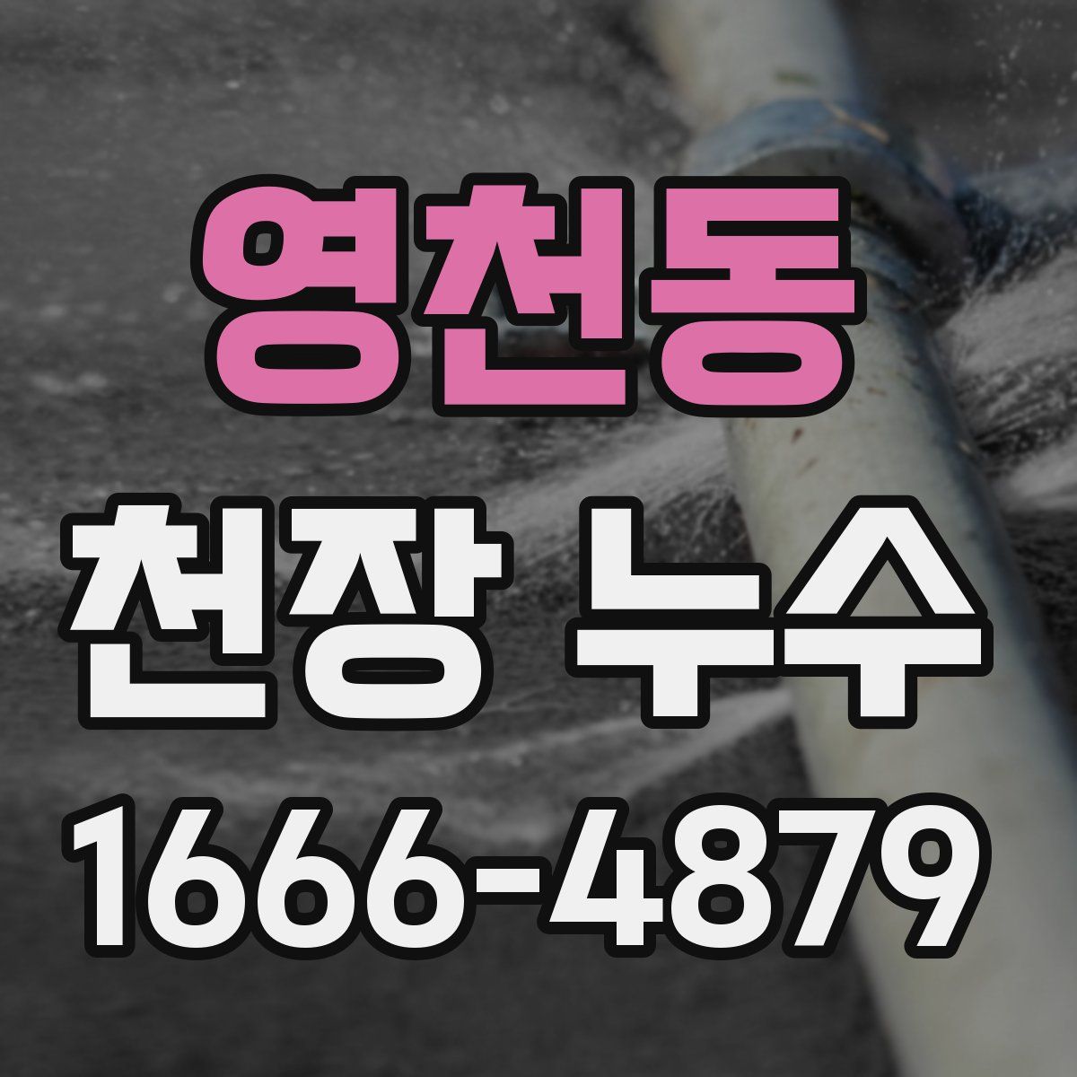 영천동 천장 누수
