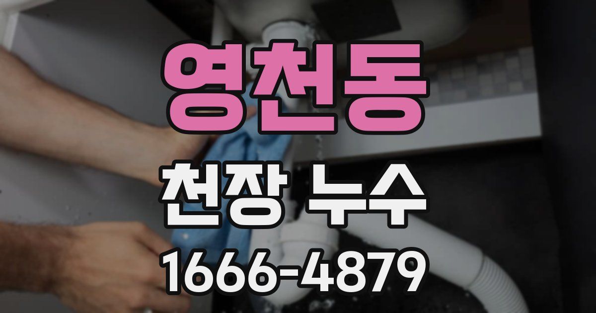 영천동 천장 누수
