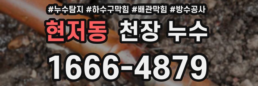 현저동 천장 누수