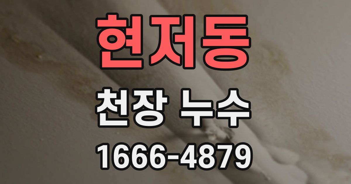 현저동 천장 누수