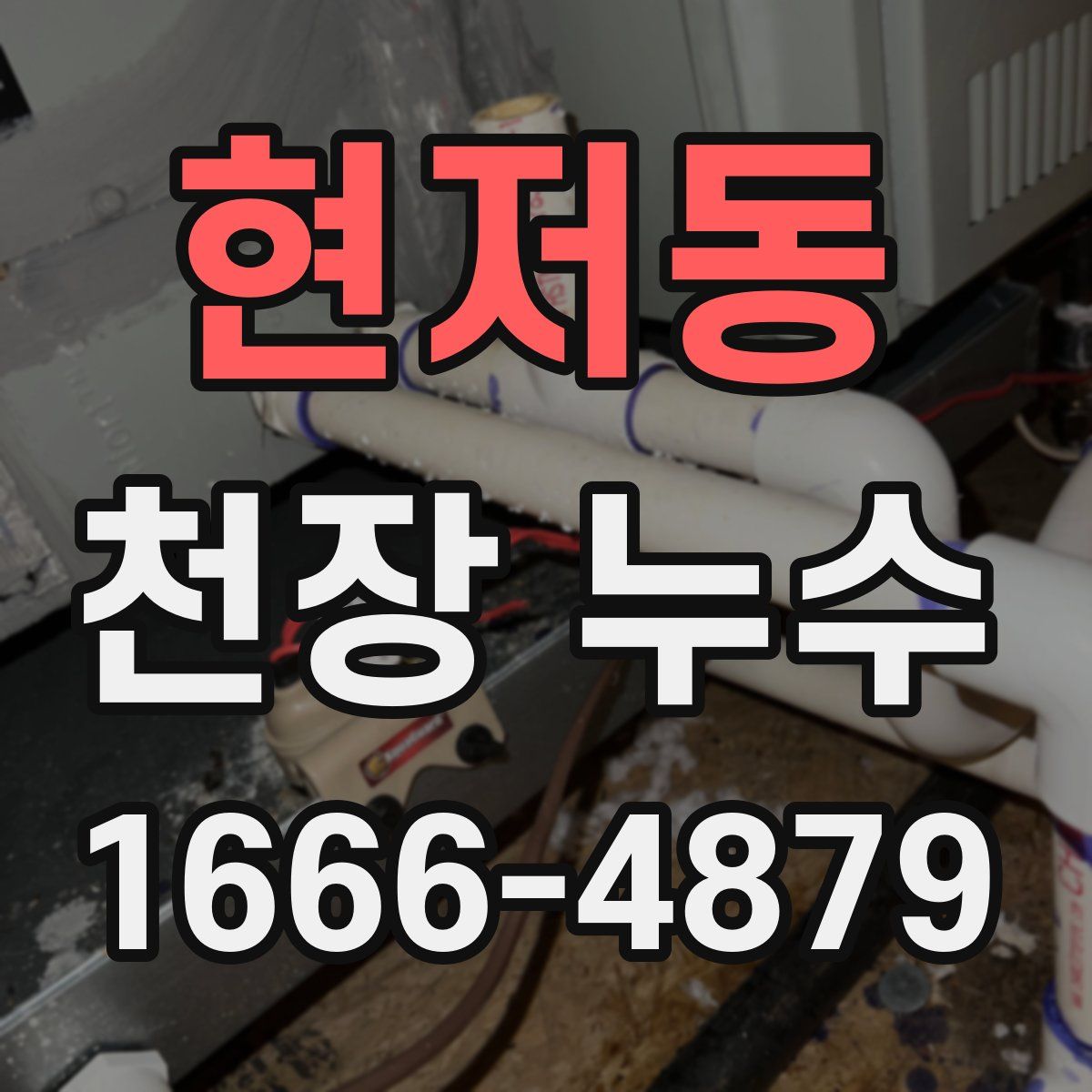 현저동 천장 누수