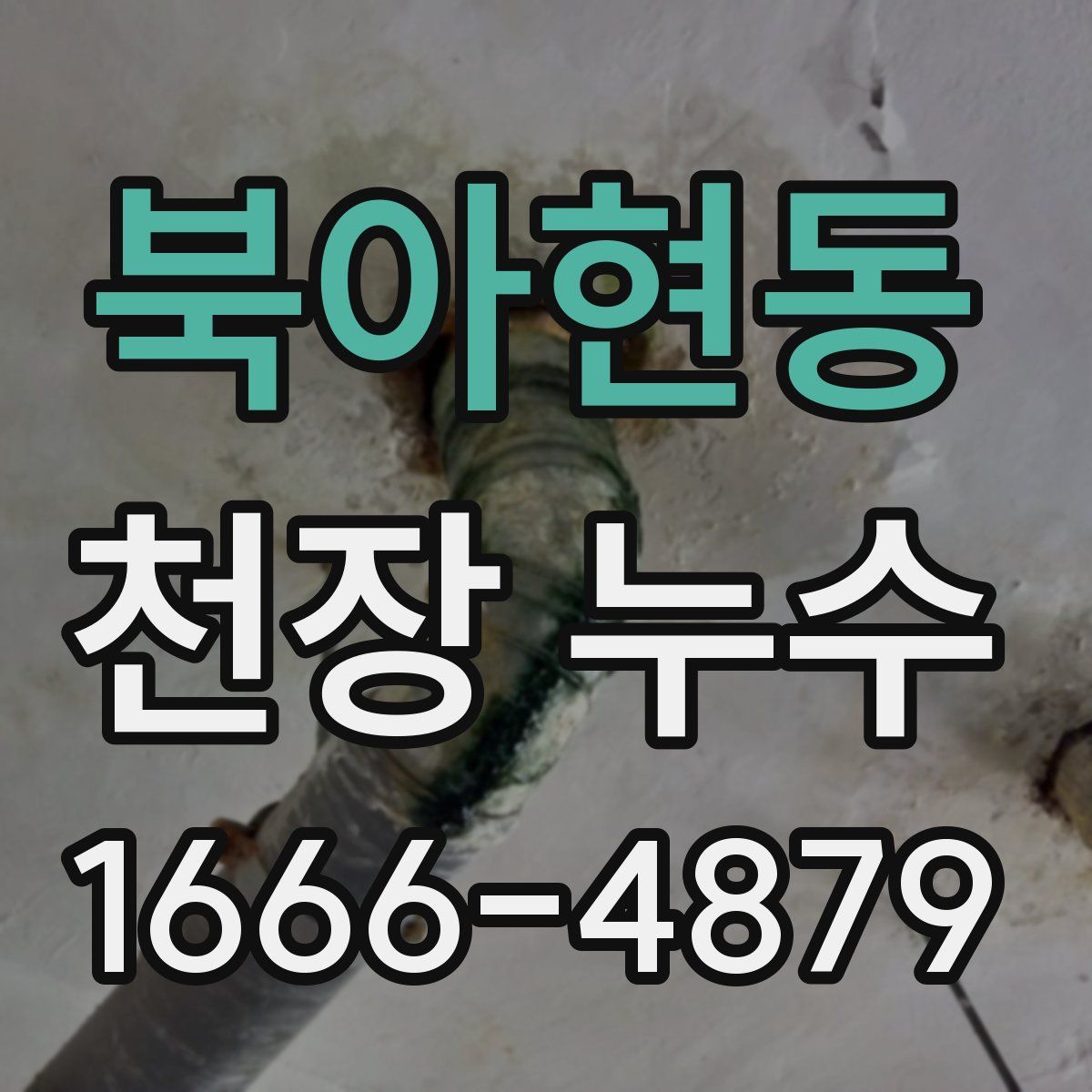 북아현동 천장 누수