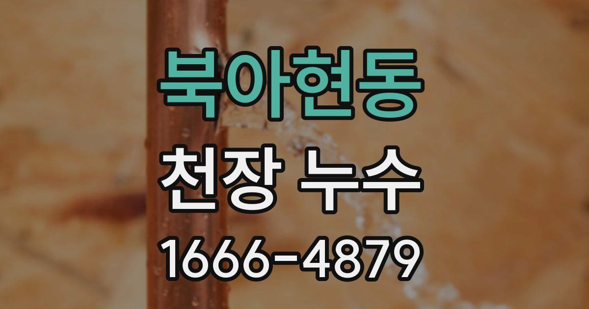 북아현동 천장 누수