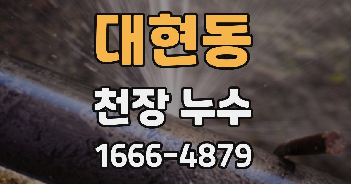 대현동 천장 누수