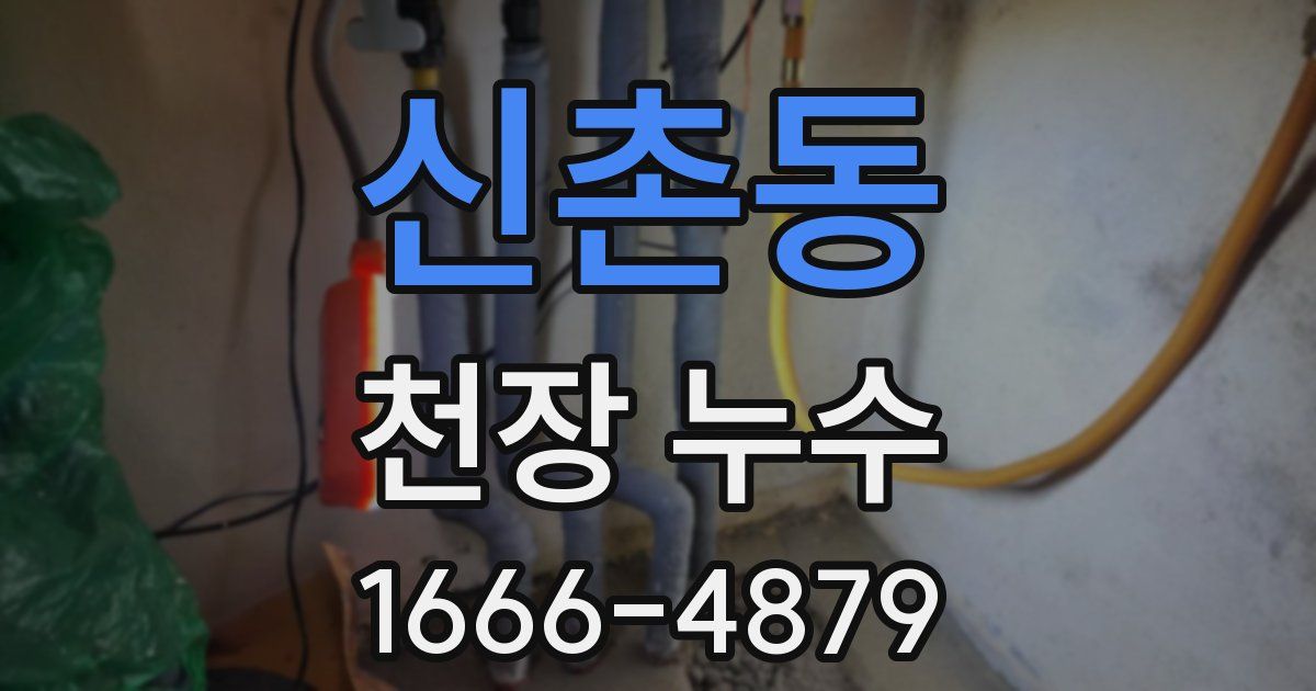 신촌동 천장 누수