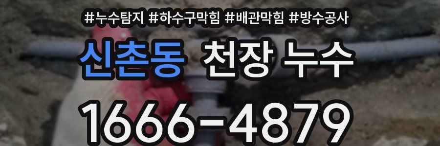 신촌동 천장 누수
