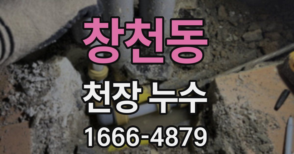 창천동 천장 누수